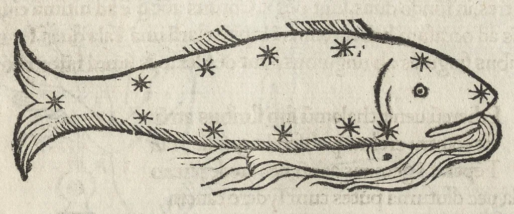 An illustration from Iulii Firmici Astronomicorum libri octo integri & emendati, ex Scythicis oris ad nos nuper allati. Marci Manilii Astronomicorum libri quinque. Arati Phaenomena Germanico Caesare interprete cum commentariis & imaginibus. Arati eiusdem Phaenomenon fragmentum Marco T.C. interprete. Arati eiusdem Phaenomena Ruffo Festo Auienio paraphraste. Arati Phaenomena graece. Theonis Commentaria copiosissima in Arati Phaenomena graece. Procli Diadochi Sphaera graece. Procli eiusdem Sphaera, Thoma Linacro Britanno interprete, 1503, leaf 538