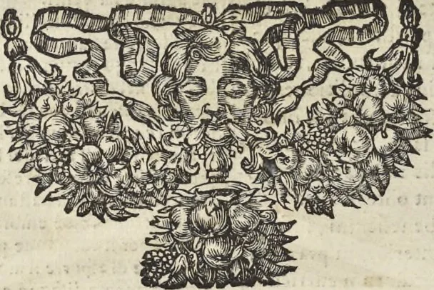 An illustration from Il Tempio Vaticano e sua origine : con gl'edifitii più cospicui, antichi e moderni, fatti dentro e fuori di esso, 1694, leaf 133