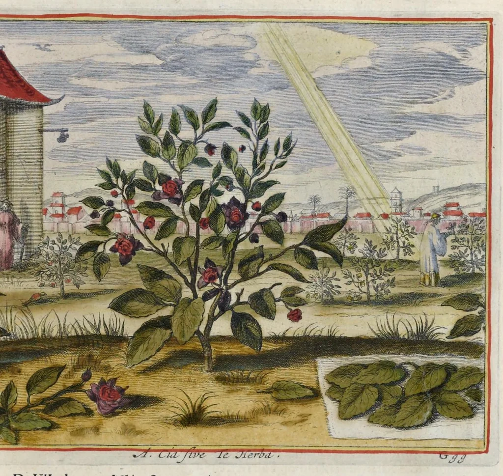 An illustration from Toonneel van China, door veel, zo geestelijke als weereltlijke geheugteekenen, verscheide vertoningen van de natuur en kunst, en blijken van veel andere gedenkwaerdige dingen, geopent en verheerlykt : nieuwelijks door d'E. Vader Athanasius Kircherus ... in't Latyn beschreven, en van J. H. Glazemaker vertaalt ; met een groot getal van kunstige kopere platen verçiert, 1668, leaf 286