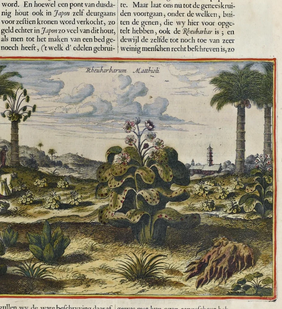 An illustration from Toonneel van China, door veel, zo geestelijke als weereltlijke geheugteekenen, verscheide vertoningen van de natuur en kunst, en blijken van veel andere gedenkwaerdige dingen, geopent en verheerlykt : nieuwelijks door d'E. Vader Athanasius Kircherus ... in't Latyn beschreven, en van J. H. Glazemaker vertaalt ; met een groot getal van kunstige kopere platen verçiert, 1668, leaf 290