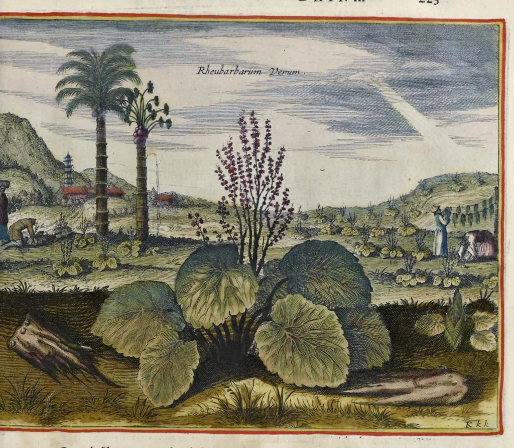 An illustration from Toonneel van China, door veel, zo geestelijke als weereltlijke geheugteekenen, verscheide vertoningen van de natuur en kunst, en blijken van veel andere gedenkwaerdige dingen, geopent en verheerlykt : nieuwelijks door d'E. Vader Athanasius Kircherus ... in't Latyn beschreven, en van J. H. Glazemaker vertaalt ; met een groot getal van kunstige kopere platen verçiert, 1668, leaf 292
