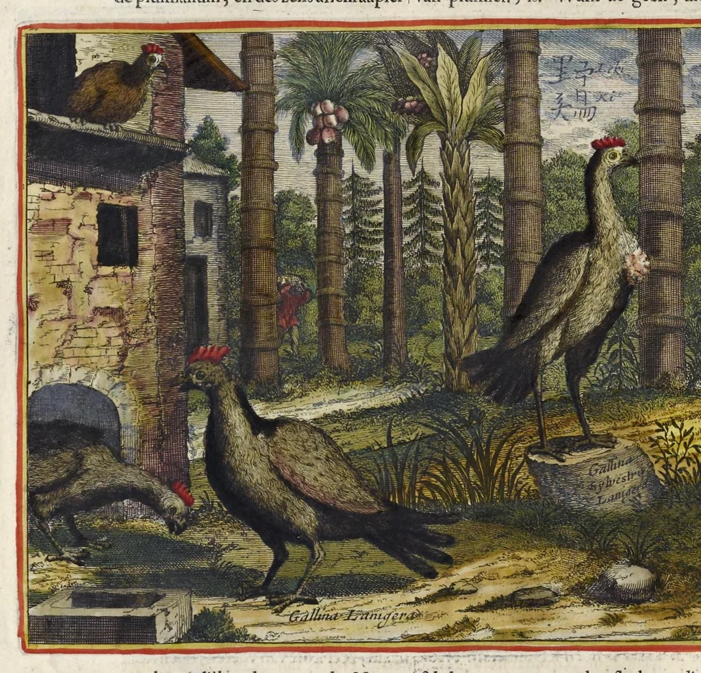 An illustration from Toonneel van China, door veel, zo geestelijke als weereltlijke geheugteekenen, verscheide vertoningen van de natuur en kunst, en blijken van veel andere gedenkwaerdige dingen, geopent en verheerlykt : nieuwelijks door d'E. Vader Athanasius Kircherus ... in't Latyn beschreven, en van J. H. Glazemaker vertaalt ; met een groot getal van kunstige kopere platen verçiert, 1668, leaf 307