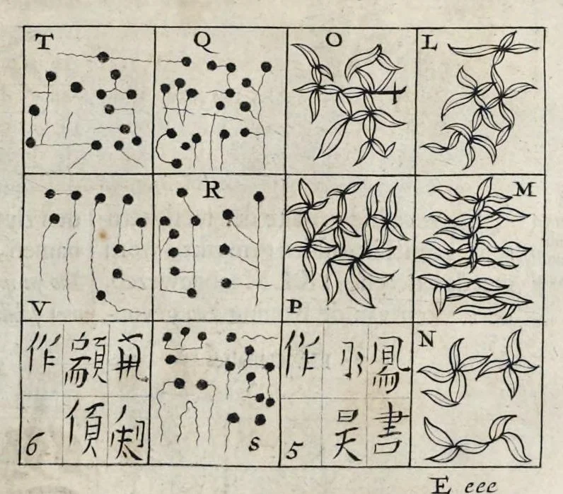 An illustration from Toonneel van China, door veel, zo geestelijke als weereltlijke geheugteekenen, verscheide vertoningen van de natuur en kunst, en blijken van veel andere gedenkwaerdige dingen, geopent en verheerlykt : nieuwelijks door d'E. Vader Athanasius Kircherus ... in't Latyn beschreven, en van J. H. Glazemaker vertaalt ; met een groot getal van kunstige kopere platen verçiert, 1668, leaf 348