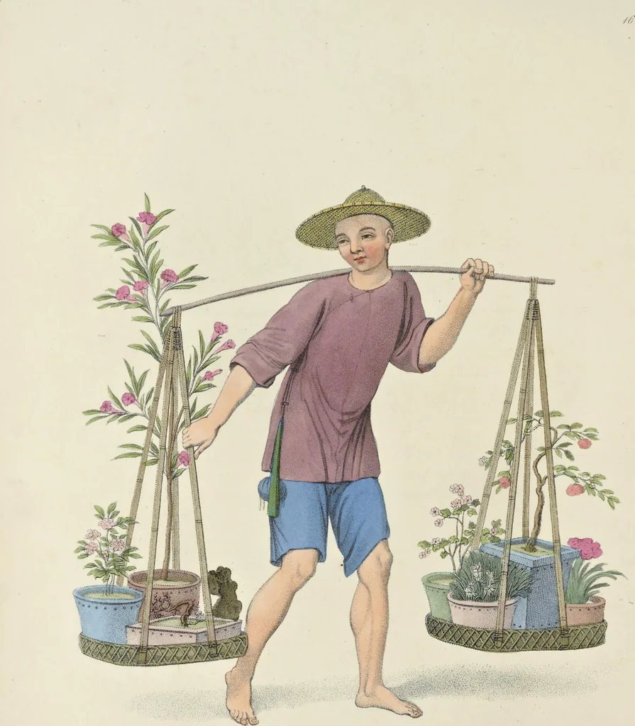 An illustration from The costume of China : illustrated by sixty engravings : with explanations in English and French, 1800, leaf 79