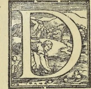 An illustration from La pratica di prospettiva, 1596, leaf 73