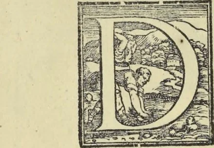 An illustration from La pratica di prospettiva, 1596, leaf 89