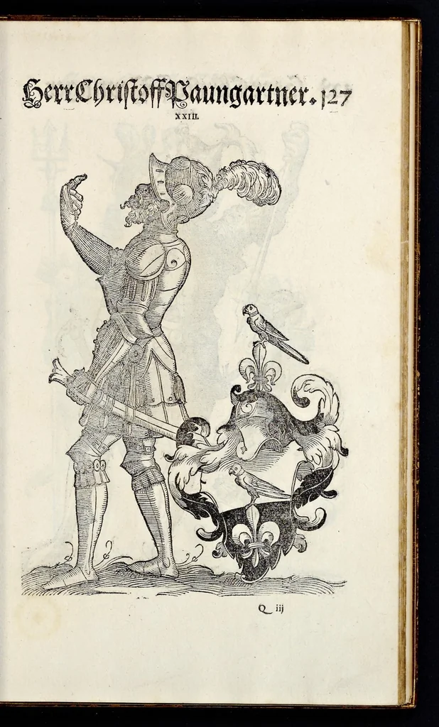 An illustration from Geschlechter Buch : darinn der loblichen kaiserlichẽ Reichs Statt Augspurg so vor fünffhundert vnd mehr Jaren hero, daselbst gewonet, vnd biss auff acht abgestorben auch deren so an der abgestorbnen stat eingenom̃en vnd erhöhet worden seyn : dessgleichen mit was Personen die Röm. Key. May. [et]c. am dritten Augusti im M.D.XLVIIII. Jare ain new Regiment von Raht vnd Gericht auch alle Empter besetzt hat : sampt aines jeden Geschlechts Wapen, Zeichen, Schilt vnd Helm, auch Ankunfft vnd Herkommen : alles mit künstlichen Figuren angezeigt, vnd allen Kunstliebhabern jetzt widerumb an Tag gegeben, 1580, leaf 132
