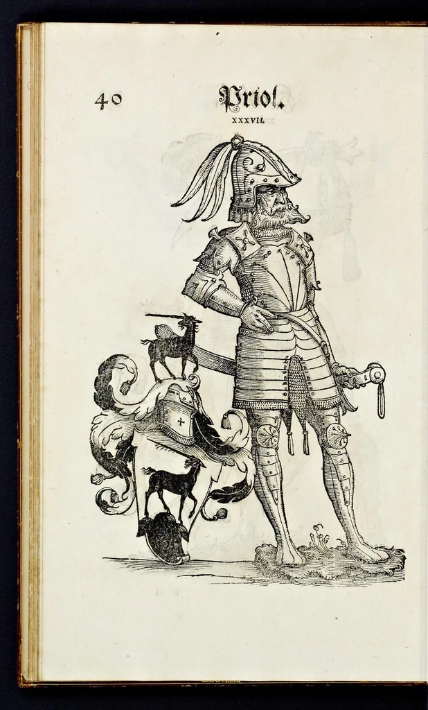 An illustration from Geschlechter Buch : darinn der loblichen kaiserlichẽ Reichs Statt Augspurg so vor fünffhundert vnd mehr Jaren hero, daselbst gewonet, vnd biss auff acht abgestorben auch deren so an der abgestorbnen stat eingenom̃en vnd erhöhet worden seyn : dessgleichen mit was Personen die Röm. Key. May. [et]c. am dritten Augusti im M.D.XLVIIII. Jare ain new Regiment von Raht vnd Gericht auch alle Empter besetzt hat : sampt aines jeden Geschlechts Wapen, Zeichen, Schilt vnd Helm, auch Ankunfft vnd Herkommen : alles mit künstlichen Figuren angezeigt, vnd allen Kunstliebhabern jetzt widerumb an Tag gegeben, 1580, leaf 47