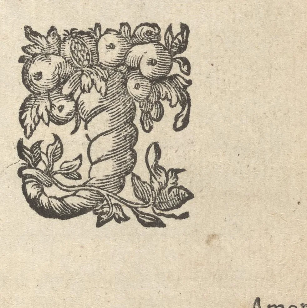An illustration from Flammulae amoris, S.P. Augustini versibus et iconibus exornatae, 1629, leaf 164
