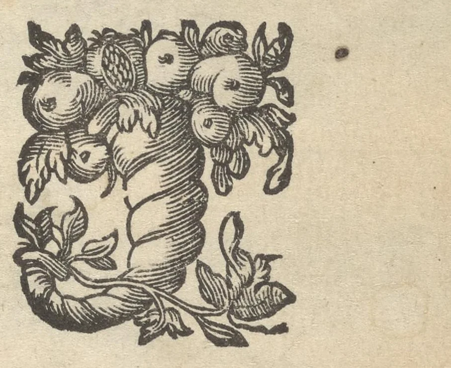 An illustration from Flammulae amoris, S.P. Augustini versibus et iconibus exornatae, 1629, leaf 220