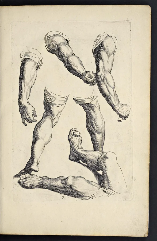 An illustration from Varie figure academiche : nouamente raccolte dal naturale con grandissima fatica e spesa, molto commode per la giouentu, la quaele si diletta dal arte dal disegno : messe in luce da I.A. de Poutre, d'Anuersa = Diuersche figuren wt de academia : nu eerst by een vergadert naert leuen, met groote moyte en oncost, seer bequaem voor alle iongelingen die hen oefenen in de teeken-const : int licht gebrocht door Ioan. A. de Poutre, plaetsnyder van Antwerpen, 1629, leaf 10