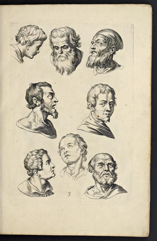 An illustration from Varie figure academiche : nouamente raccolte dal naturale con grandissima fatica e spesa, molto commode per la giouentu, la quaele si diletta dal arte dal disegno : messe in luce da I.A. de Poutre, d'Anuersa = Diuersche figuren wt de academia : nu eerst by een vergadert naert leuen, met groote moyte en oncost, seer bequaem voor alle iongelingen die hen oefenen in de teeken-const : int licht gebrocht door Ioan. A. de Poutre, plaetsnyder van Antwerpen, 1629, leaf 12