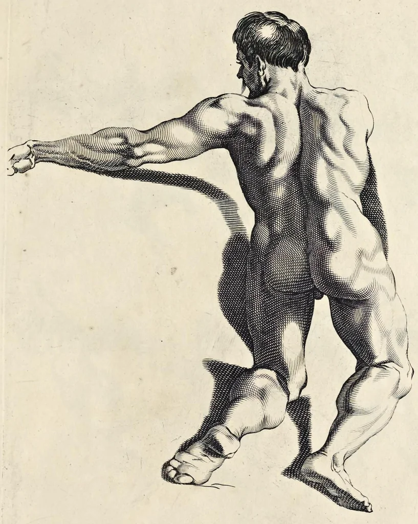 An illustration from Varie figure academiche : nouamente raccolte dal naturale con grandissima fatica e spesa, molto commode per la giouentu, la quaele si diletta dal arte dal disegno : messe in luce da I.A. de Poutre, d'Anuersa = Diuersche figuren wt de academia : nu eerst by een vergadert naert leuen, met groote moyte en oncost, seer bequaem voor alle iongelingen die hen oefenen in de teeken-const : int licht gebrocht door Ioan. A. de Poutre, plaetsnyder van Antwerpen, 1629, leaf 32