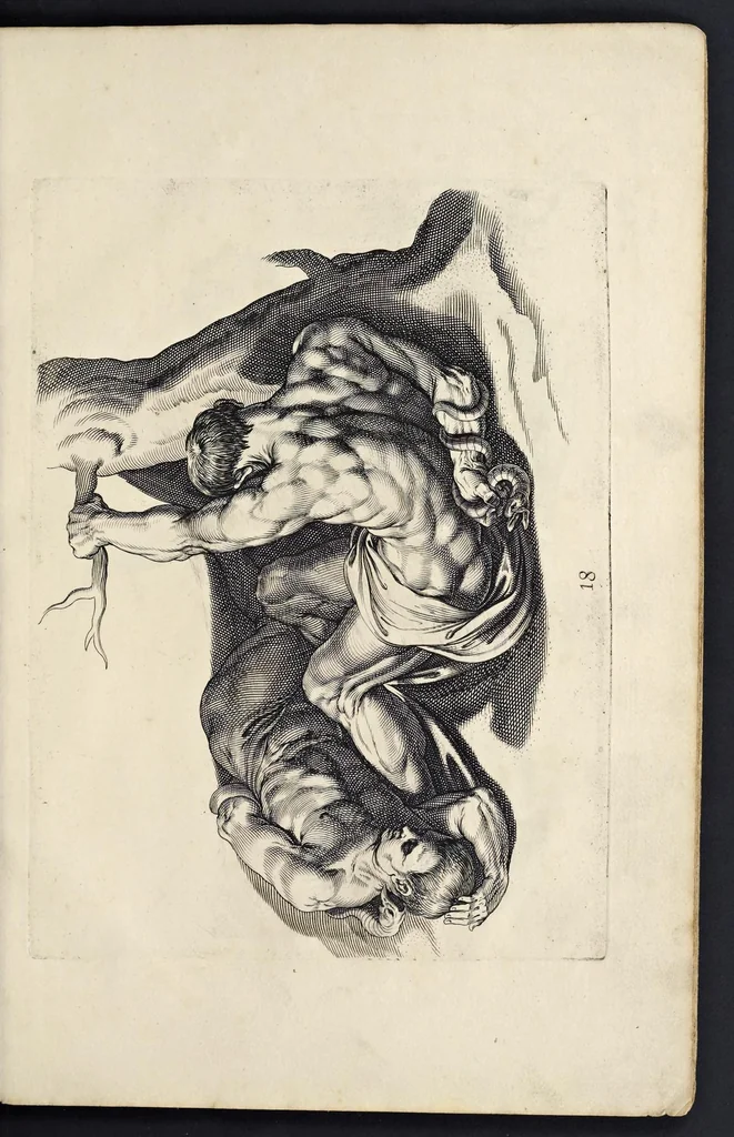 An illustration from Varie figure academiche : nouamente raccolte dal naturale con grandissima fatica e spesa, molto commode per la giouentu, la quaele si diletta dal arte dal disegno : messe in luce da I.A. de Poutre, d'Anuersa = Diuersche figuren wt de academia : nu eerst by een vergadert naert leuen, met groote moyte en oncost, seer bequaem voor alle iongelingen die hen oefenen in de teeken-const : int licht gebrocht door Ioan. A. de Poutre, plaetsnyder van Antwerpen, 1629, leaf 42
