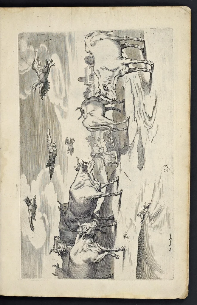 An illustration from Varie figure academiche : nouamente raccolte dal naturale con grandissima fatica e spesa, molto commode per la giouentu, la quaele si diletta dal arte dal disegno : messe in luce da I.A. de Poutre, d'Anuersa = Diuersche figuren wt de academia : nu eerst by een vergadert naert leuen, met groote moyte en oncost, seer bequaem voor alle iongelingen die hen oefenen in de teeken-const : int licht gebrocht door Ioan. A. de Poutre, plaetsnyder van Antwerpen, 1629, leaf 52