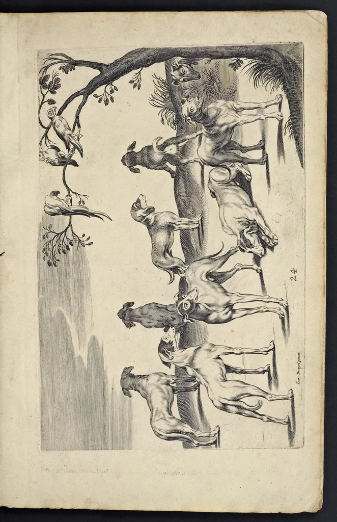 An illustration from Varie figure academiche : nouamente raccolte dal naturale con grandissima fatica e spesa, molto commode per la giouentu, la quaele si diletta dal arte dal disegno : messe in luce da I.A. de Poutre, d'Anuersa = Diuersche figuren wt de academia : nu eerst by een vergadert naert leuen, met groote moyte en oncost, seer bequaem voor alle iongelingen die hen oefenen in de teeken-const : int licht gebrocht door Ioan. A. de Poutre, plaetsnyder van Antwerpen, 1629, leaf 54