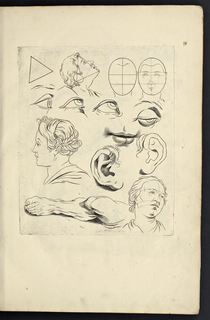 An illustration from Varie figure academiche : nouamente raccolte dal naturale con grandissima fatica e spesa, molto commode per la giouentu, la quaele si diletta dal arte dal disegno : messe in luce da I.A. de Poutre, d'Anuersa = Diuersche figuren wt de academia : nu eerst by een vergadert naert leuen, met groote moyte en oncost, seer bequaem voor alle iongelingen die hen oefenen in de teeken-const : int licht gebrocht door Ioan. A. de Poutre, plaetsnyder van Antwerpen, 1629, leaf 6