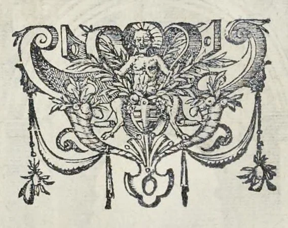 An illustration from Descriptio pvblicae gratvlationis, spectacvlorvm et lvdorvm in adventv Sereniss. Principis Ernesti Archidvcis Avstriae ... an. M.D.XCIIII. XVIII. kal. Ivlias, aliisqve diebvs Antverpiae editorvm : cvi est praefixa de Belgij principatu a romano in ea prouincia imperio ad nostra us[que] tempora breuis narratio ... : cum carmine panegyrico in eiusdem Principis Ernesti ... aduentum : accessit denique oratio funebris in Archiducis Ernesti obitum ijsdem prouincijs luctuosissimum, 1595, leaf 107