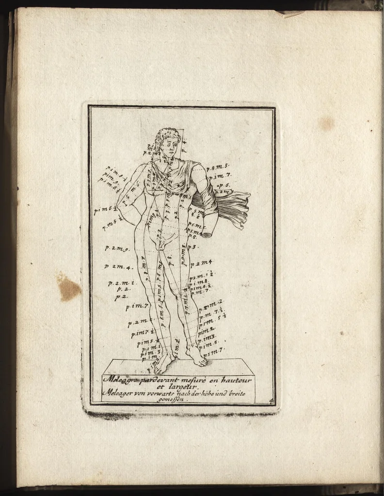 An illustration from Reprentation [sic] des diverses figures humaines avec leurs mesures prises sur des antiques = Eigentliche Vorstellung und Proportionen menschlicher Leibes nach dem gerechten Mass der Antiquen, 1700, leaf 15