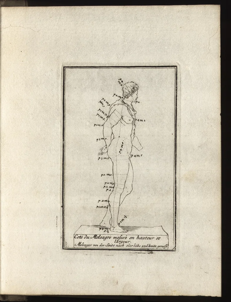 An illustration from Reprentation [sic] des diverses figures humaines avec leurs mesures prises sur des antiques = Eigentliche Vorstellung und Proportionen menschlicher Leibes nach dem gerechten Mass der Antiquen, 1700, leaf 16