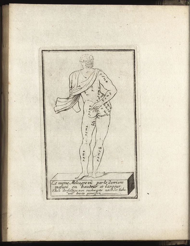 An illustration from Reprentation [sic] des diverses figures humaines avec leurs mesures prises sur des antiques = Eigentliche Vorstellung und Proportionen menschlicher Leibes nach dem gerechten Mass der Antiquen, 1700, leaf 19