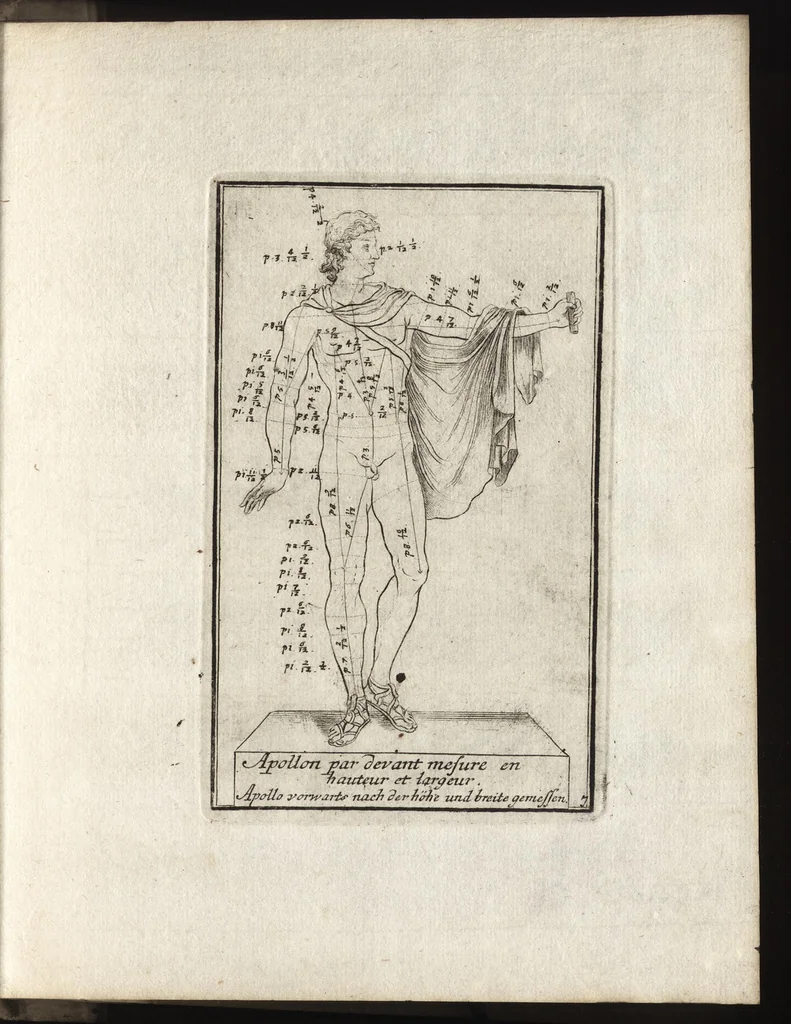 An illustration from Reprentation [sic] des diverses figures humaines avec leurs mesures prises sur des antiques = Eigentliche Vorstellung und Proportionen menschlicher Leibes nach dem gerechten Mass der Antiquen, 1700, leaf 20