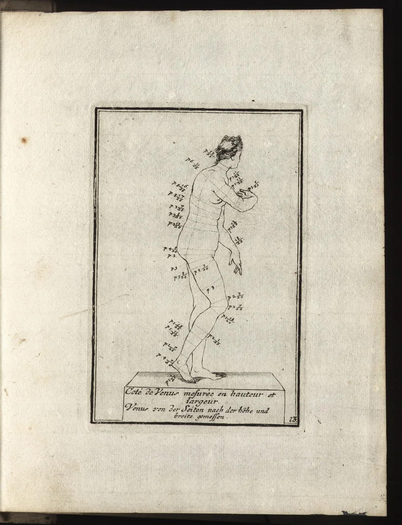 An illustration from Reprentation [sic] des diverses figures humaines avec leurs mesures prises sur des antiques = Eigentliche Vorstellung und Proportionen menschlicher Leibes nach dem gerechten Mass der Antiquen, 1700, leaf 32