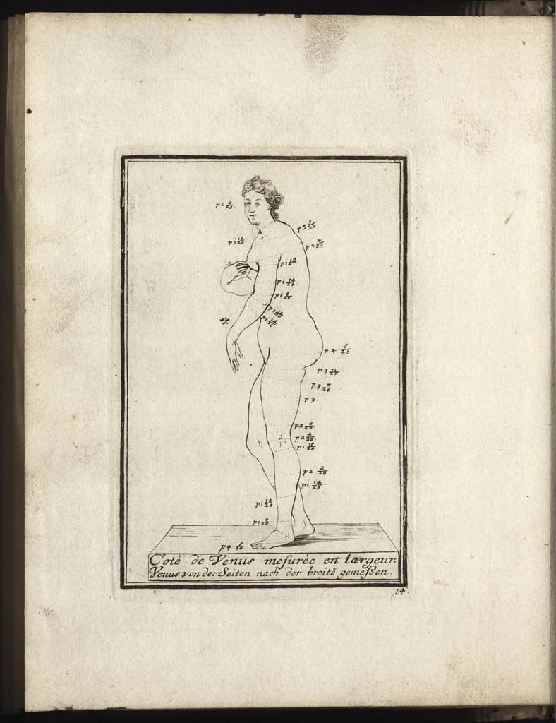 An illustration from Reprentation [sic] des diverses figures humaines avec leurs mesures prises sur des antiques = Eigentliche Vorstellung und Proportionen menschlicher Leibes nach dem gerechten Mass der Antiquen, 1700, leaf 35