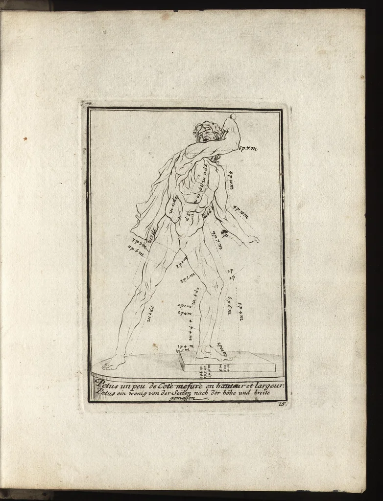 An illustration from Reprentation [sic] des diverses figures humaines avec leurs mesures prises sur des antiques = Eigentliche Vorstellung und Proportionen menschlicher Leibes nach dem gerechten Mass der Antiquen, 1700, leaf 36