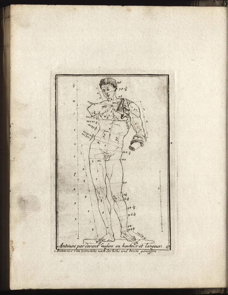 An illustration from Reprentation [sic] des diverses figures humaines avec leurs mesures prises sur des antiques = Eigentliche Vorstellung und Proportionen menschlicher Leibes nach dem gerechten Mass der Antiquen, 1700, leaf 39