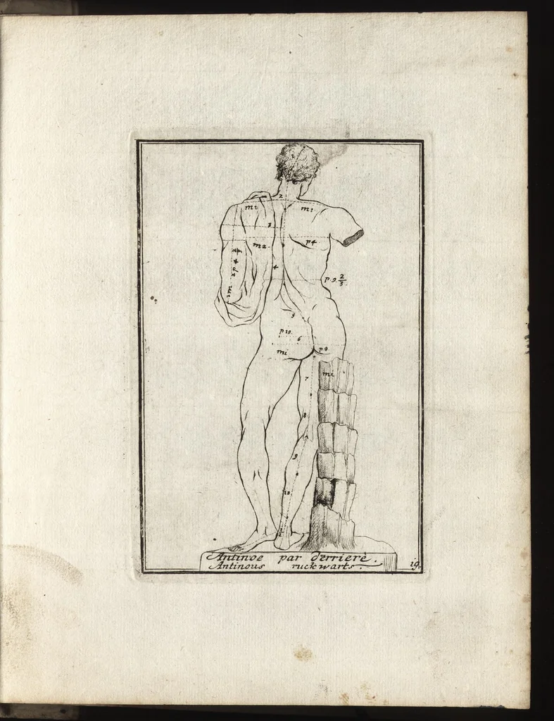 An illustration from Reprentation [sic] des diverses figures humaines avec leurs mesures prises sur des antiques = Eigentliche Vorstellung und Proportionen menschlicher Leibes nach dem gerechten Mass der Antiquen, 1700, leaf 44