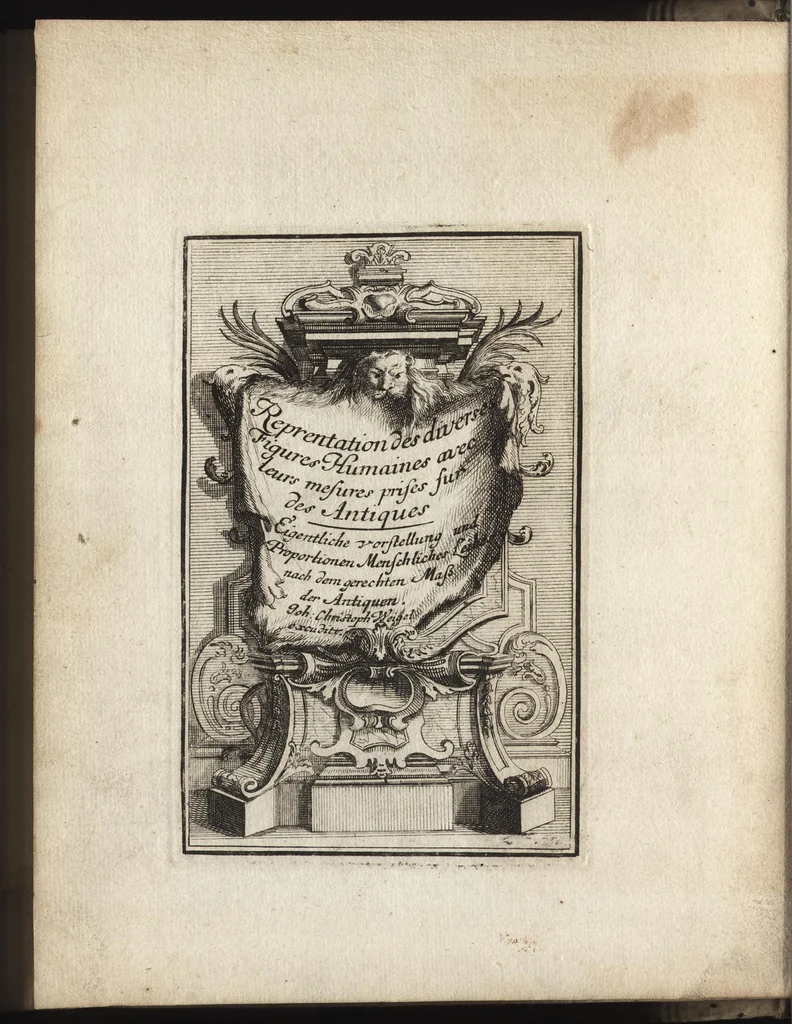 An illustration from Reprentation [sic] des diverses figures humaines avec leurs mesures prises sur des antiques = Eigentliche Vorstellung und Proportionen menschlicher Leibes nach dem gerechten Mass der Antiquen, 1700, leaf 7