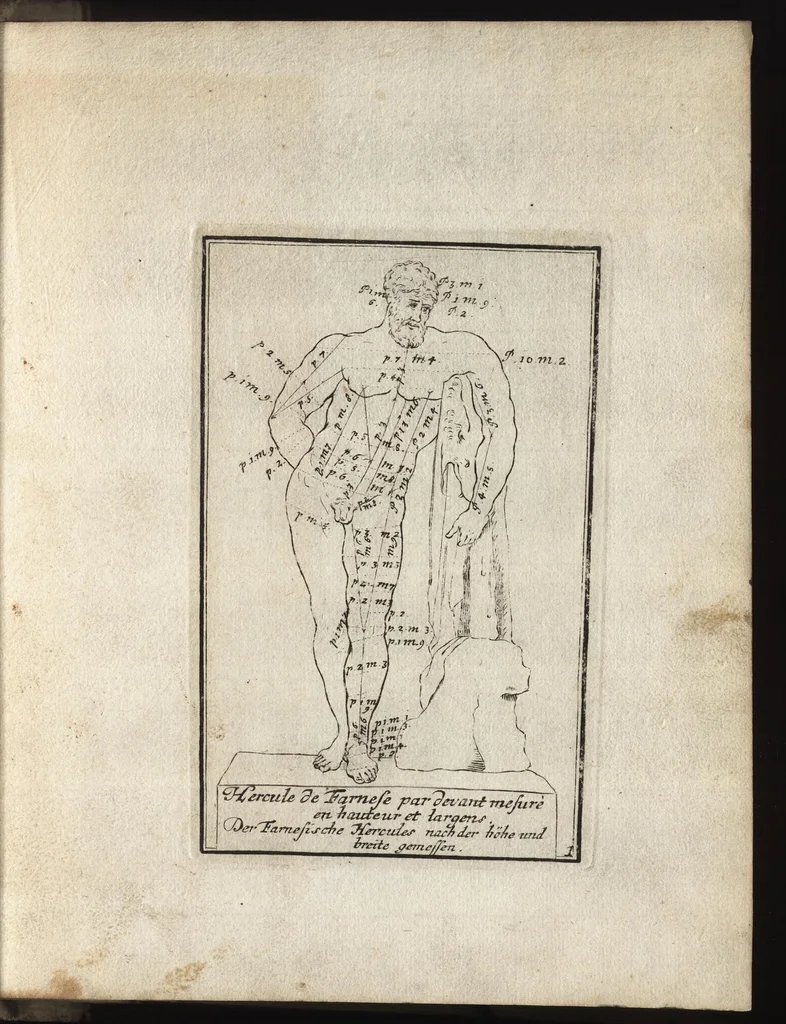 An illustration from Reprentation [sic] des diverses figures humaines avec leurs mesures prises sur des antiques = Eigentliche Vorstellung und Proportionen menschlicher Leibes nach dem gerechten Mass der Antiquen, 1700, leaf 8