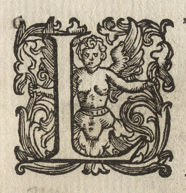 An illustration from Vccelliera, ouero, Discorso della natura, e proprieta di diuersi vccelli : e in particolare di que' che cantano, con il modo di prendergli, conoscergli, alleuargli, e mantenergli : e con le figure cauate dal vero, e diligentem[en]te intagliate in rame dal Tempesta, e dal Villamena, 1684, leaf 106