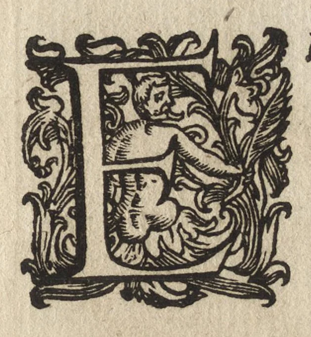 An illustration from Vccelliera, ouero, Discorso della natura, e proprieta di diuersi vccelli : e in particolare di que' che cantano, con il modo di prendergli, conoscergli, alleuargli, e mantenergli : e con le figure cauate dal vero, e diligentem[en]te intagliate in rame dal Tempesta, e dal Villamena, 1684, leaf 110
