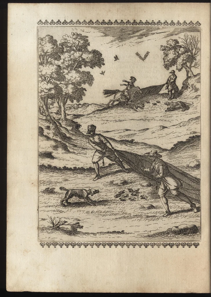 An illustration from Vccelliera, ouero, Discorso della natura, e proprieta di diuersi vccelli : e in particolare di que' che cantano, con il modo di prendergli, conoscergli, alleuargli, e mantenergli : e con le figure cauate dal vero, e diligentem[en]te intagliate in rame dal Tempesta, e dal Villamena, 1684, leaf 115