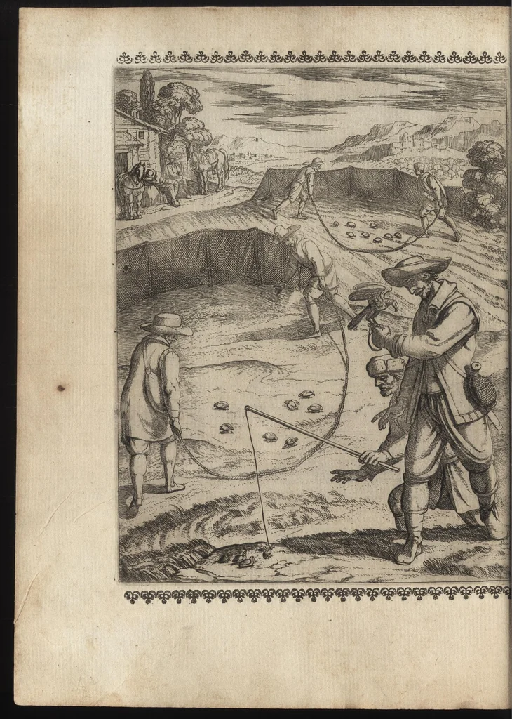 An illustration from Vccelliera, ouero, Discorso della natura, e proprieta di diuersi vccelli : e in particolare di que' che cantano, con il modo di prendergli, conoscergli, alleuargli, e mantenergli : e con le figure cauate dal vero, e diligentem[en]te intagliate in rame dal Tempesta, e dal Villamena, 1684, leaf 133