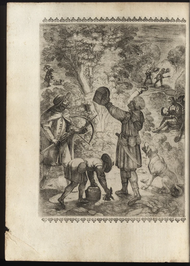 An illustration from Vccelliera, ouero, Discorso della natura, e proprieta di diuersi vccelli : e in particolare di que' che cantano, con il modo di prendergli, conoscergli, alleuargli, e mantenergli : e con le figure cauate dal vero, e diligentem[en]te intagliate in rame dal Tempesta, e dal Villamena, 1684, leaf 145