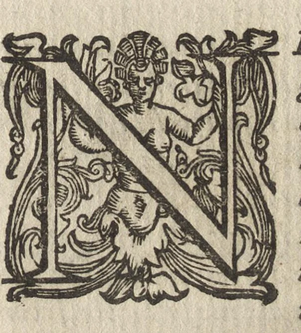 An illustration from Vccelliera, ouero, Discorso della natura, e proprieta di diuersi vccelli : e in particolare di que' che cantano, con il modo di prendergli, conoscergli, alleuargli, e mantenergli : e con le figure cauate dal vero, e diligentem[en]te intagliate in rame dal Tempesta, e dal Villamena, 1684, leaf 16