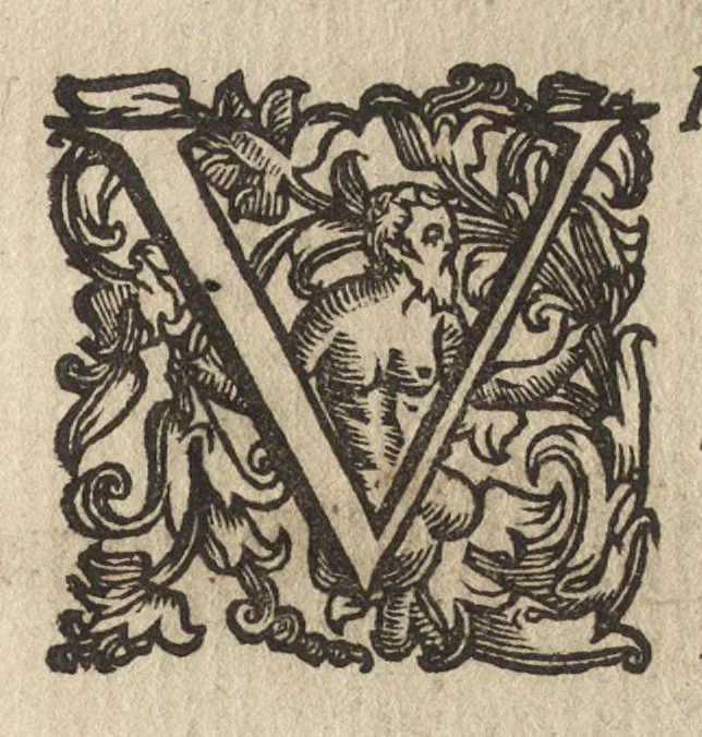 An illustration from Vccelliera, ouero, Discorso della natura, e proprieta di diuersi vccelli : e in particolare di que' che cantano, con il modo di prendergli, conoscergli, alleuargli, e mantenergli : e con le figure cauate dal vero, e diligentem[en]te intagliate in rame dal Tempesta, e dal Villamena, 1684, leaf 42