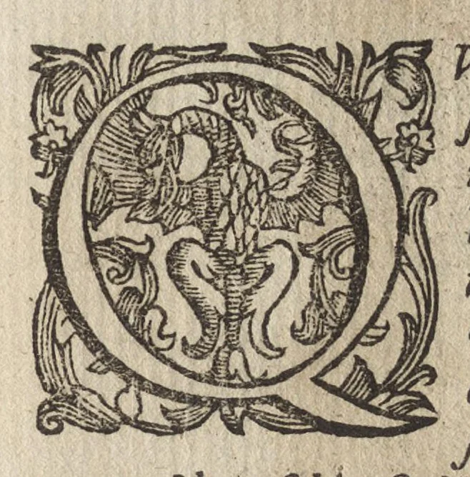 An illustration from Vccelliera, ouero, Discorso della natura, e proprieta di diuersi vccelli : e in particolare di que' che cantano, con il modo di prendergli, conoscergli, alleuargli, e mantenergli : e con le figure cauate dal vero, e diligentem[en]te intagliate in rame dal Tempesta, e dal Villamena, 1684, leaf 48