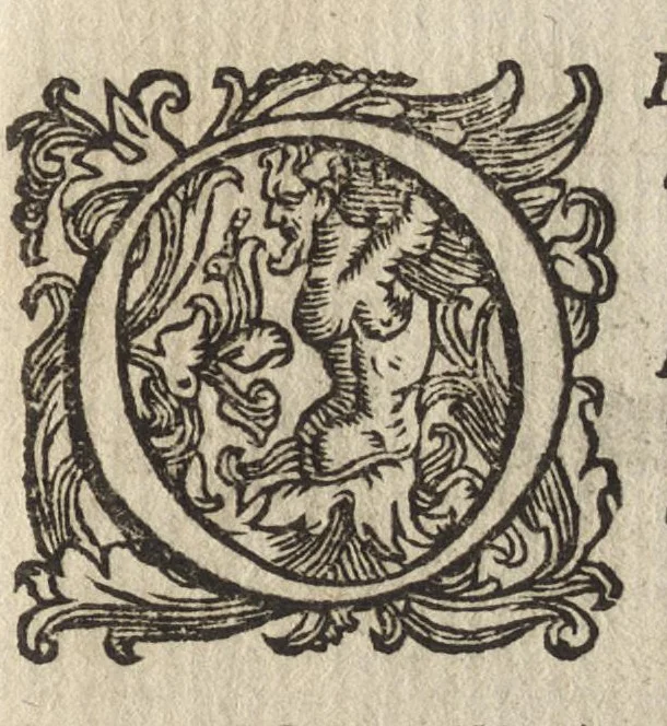 An illustration from Vccelliera, ouero, Discorso della natura, e proprieta di diuersi vccelli : e in particolare di que' che cantano, con il modo di prendergli, conoscergli, alleuargli, e mantenergli : e con le figure cauate dal vero, e diligentem[en]te intagliate in rame dal Tempesta, e dal Villamena, 1684, leaf 68
