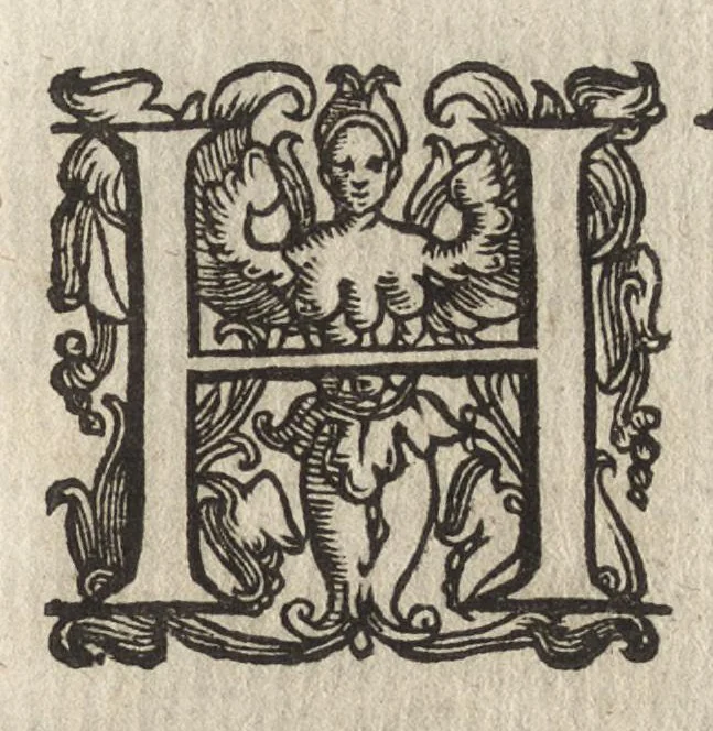 An illustration from Vccelliera, ouero, Discorso della natura, e proprieta di diuersi vccelli : e in particolare di que' che cantano, con il modo di prendergli, conoscergli, alleuargli, e mantenergli : e con le figure cauate dal vero, e diligentem[en]te intagliate in rame dal Tempesta, e dal Villamena, 1684, leaf 88