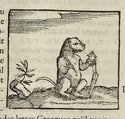 An illustration from Les hieroglyphiques de Ian-Pierre Valerian, vulgairement nommé Pierius. Autrement, commentaires des lettres et figures sacrées des Aegyptiens & autres nations. Oeuure reduicte en cinquante huict liures, ausquels sont adjoincts deux autres, 1615, leaf 113