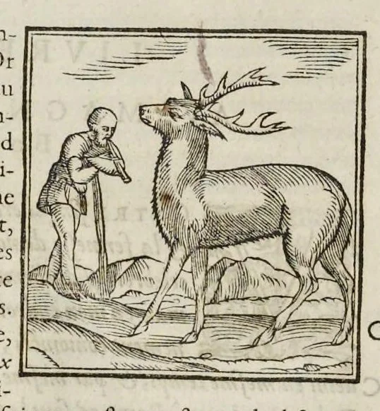 An illustration from Les hieroglyphiques de Ian-Pierre Valerian, vulgairement nommé Pierius. Autrement, commentaires des lettres et figures sacrées des Aegyptiens & autres nations. Oeuure reduicte en cinquante huict liures, ausquels sont adjoincts deux autres, 1615, leaf 121