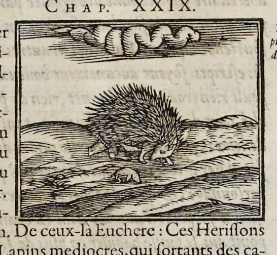 An illustration from Les hieroglyphiques de Ian-Pierre Valerian, vulgairement nommé Pierius. Autrement, commentaires des lettres et figures sacrées des Aegyptiens & autres nations. Oeuure reduicte en cinquante huict liures, ausquels sont adjoincts deux autres, 1615, leaf 140
