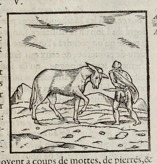 An illustration from Les hieroglyphiques de Ian-Pierre Valerian, vulgairement nommé Pierius. Autrement, commentaires des lettres et figures sacrées des Aegyptiens & autres nations. Oeuure reduicte en cinquante huict liures, ausquels sont adjoincts deux autres, 1615, leaf 186