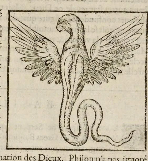 An illustration from Les hieroglyphiques de Ian-Pierre Valerian, vulgairement nommé Pierius. Autrement, commentaires des lettres et figures sacrées des Aegyptiens & autres nations. Oeuure reduicte en cinquante huict liures, ausquels sont adjoincts deux autres, 1615, leaf 219