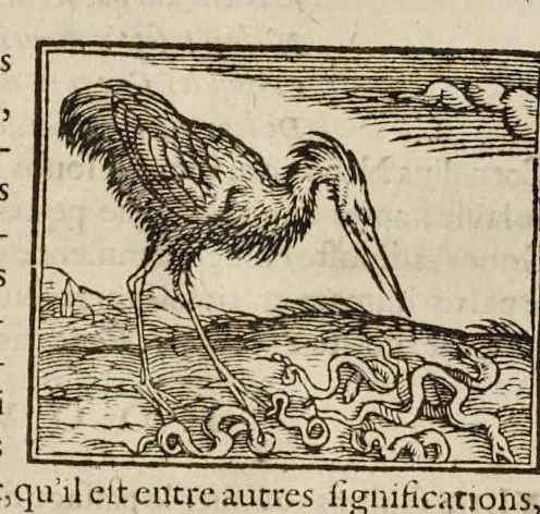 An illustration from Les hieroglyphiques de Ian-Pierre Valerian, vulgairement nommé Pierius. Autrement, commentaires des lettres et figures sacrées des Aegyptiens & autres nations. Oeuure reduicte en cinquante huict liures, ausquels sont adjoincts deux autres, 1615, leaf 259