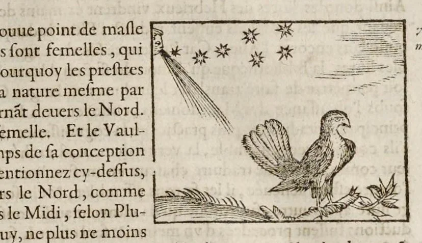 An illustration from Les hieroglyphiques de Ian-Pierre Valerian, vulgairement nommé Pierius. Autrement, commentaires des lettres et figures sacrées des Aegyptiens & autres nations. Oeuure reduicte en cinquante huict liures, ausquels sont adjoincts deux autres, 1615, leaf 268